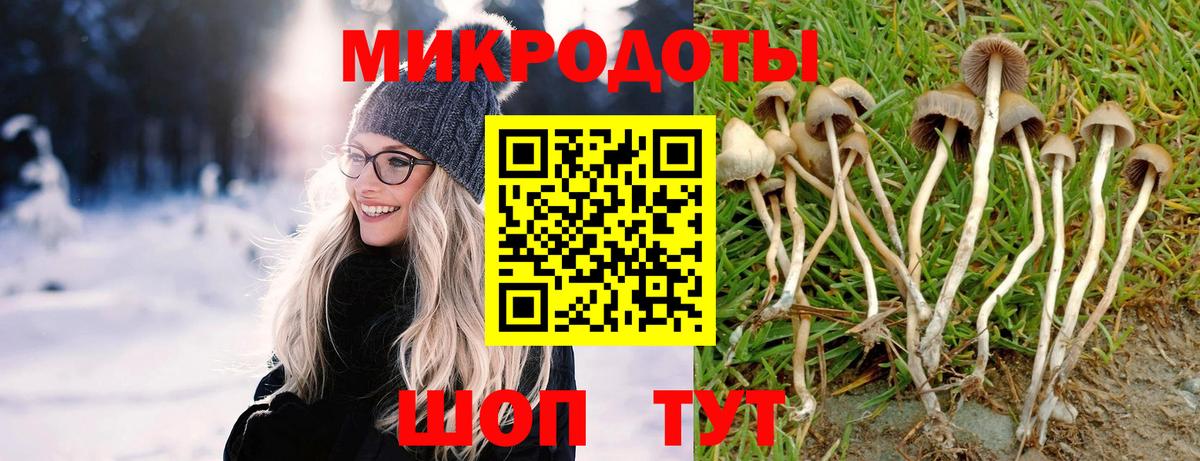 Электрогорск  Псилоцибиновые грибы Psilocybe  Галлюциногенные грибы GOLDEN TEACHER  Вход с VPN 
